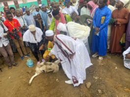 Aïd El-Kébir Douala IIe : Quand la Tabaski devient un vibrant plaidoyer pour le pacte républicain