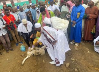 Aïd El-Kébir Douala IIe : Quand la Tabaski devient un vibrant plaidoyer pour le pacte républicain