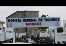 Fautes médicales graves : Ces médecins suspendus après les décès de Barbara Bengono et Stéphanie Siewe