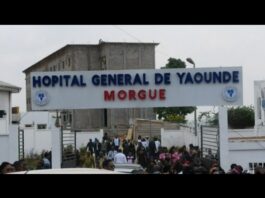 Fautes médicales graves : Ces médecins suspendus après les décès de Barbara Bengono et Stéphanie Siewe