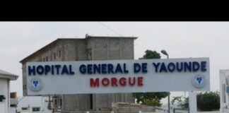 Fautes médicales graves : Ces médecins suspendus après les décès de Barbara Bengono et Stéphanie Siewe