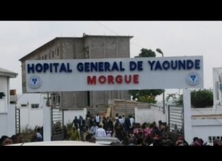 Fautes médicales graves : Ces médecins suspendus après les décès de Barbara Bengono et Stéphanie Siewe