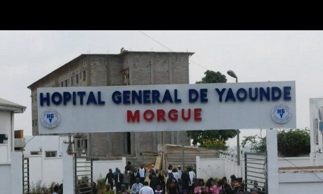 Fautes médicales graves : Ces médecins suspendus après les décès de Barbara Bengono et Stéphanie Siewe