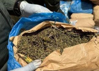 L’Opération « Tentacules » frappe fort à l’Ouest : 800 kg de cannabis saisis dans le Noun