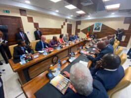 Coopération Bilatérale : L’Allemagne muscle ses investissements au Cameroun