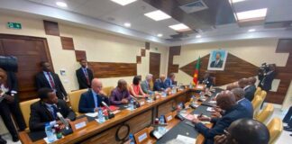 Coopération Bilatérale : L’Allemagne muscle ses investissements au Cameroun