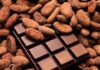 Filière cacao :Le « Chocolat Rouge » d’Obala arrive sur le marché