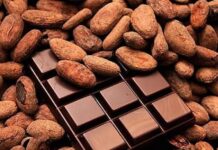 Filière cacao :Le « Chocolat Rouge » d’Obala arrive sur le marché