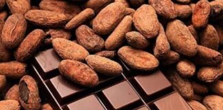 Filière cacao :Le « Chocolat Rouge » d’Obala arrive sur le marché