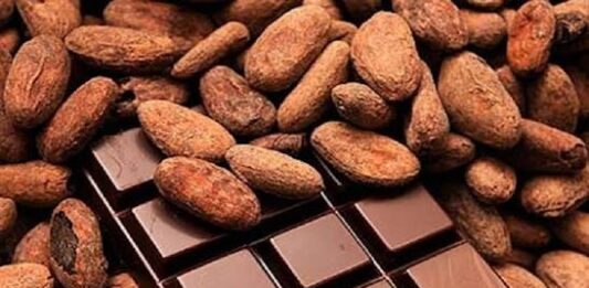 Filière cacao :Le « Chocolat Rouge » d’Obala arrive sur le marché