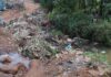 Cameroun : Promouvoir l’engagement civique pour lutter contre les inondations