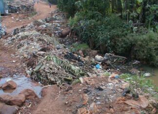 Cameroun : Promouvoir l’engagement civique pour lutter contre les inondations