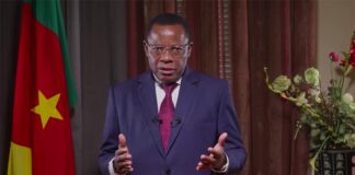 Fin de mandat des conseillers municipaux : Le MRC de Maurice Kamto saisit le Conseil Constitutionnel et dénonce un « vide légal »