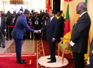 Etoudi : quand le décret présidentiel s’habille en contrefaçon !
