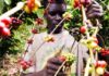 Filière café : Une bouffée d’oxygène pour les producteurs