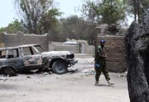 Région de l’extrême-nord : 11 civils lâchement assassinés par Boko Haram à Milari
