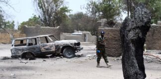 Région de l’extrême-nord : 11 civils lâchement assassinés par Boko Haram à Milari