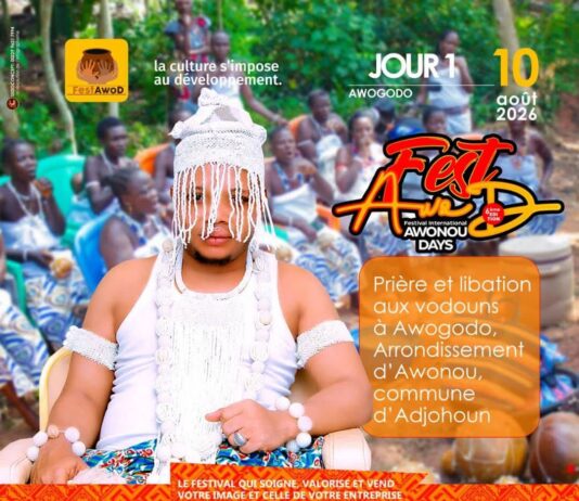 Bénin : Glob’Media au Cœur du Festival « Awonou Day »