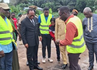 Route Boumnyebel-Eséka : Les travaux d’urgence s’accélèrent