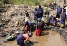 Or du Cameroun : Exportation illégale