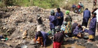 Or du Cameroun : Exportation illégale