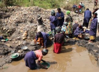 Or du Cameroun : Exportation illégale