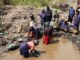 Or du Cameroun : Exportation illégale