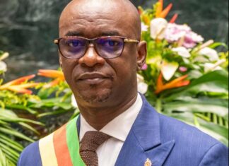 Absence présidentielle et « vide juridique » : Le plaidoyer de Cabral Libii pour un choc électoral