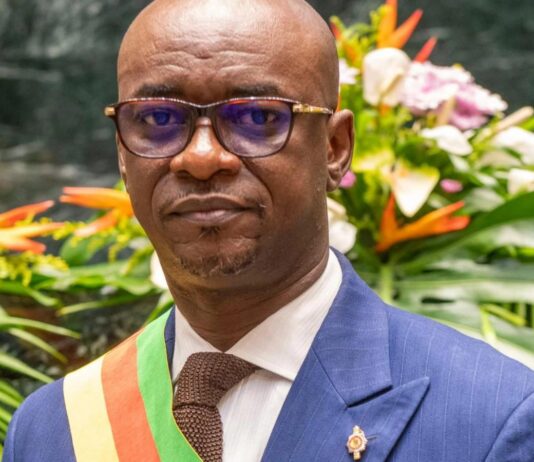 Absence présidentielle et « vide juridique » : Le plaidoyer de Cabral Libii pour un choc électoral