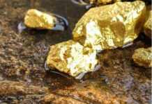 Scandale de l’or : Le gouvernement organise la diversion