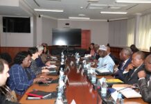 Urgence financière : Le Cameroun condamné à l’accord avec le FMI