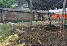 Du salubre au pathogène : le cruelle dilemme du marché Sandaga