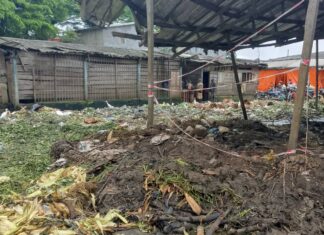 Du salubre au pathogène : le cruelle dilemme du marché Sandaga