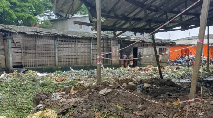 Du salubre au pathogène : le cruelle dilemme du marché Sandaga