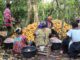 Transformation du cacao : Le Cameroun franchit le cap des 80 % et redistribue les cartes de la filière