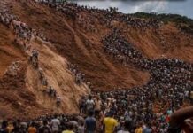 Drame à la frontière centrafricaine : Quatre orpailleurs camerounais tués dans un éboulement à Zamboye