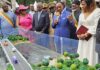 Makak : le pont sur le Nyong officiellement mis en service