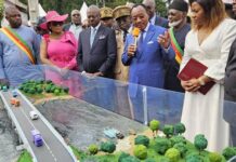 Makak : le pont sur le Nyong officiellement mis en service
