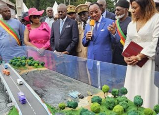 Makak : le pont sur le Nyong officiellement mis en service