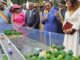 Makak : le pont sur le Nyong officiellement mis en service