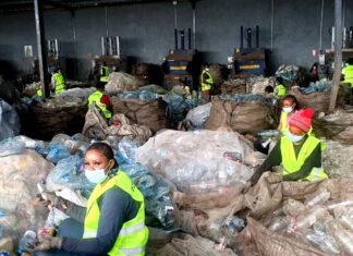Plastique : À Douala, une bouteille usagée peut encore avoir de la valeur