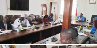 Marchés publics au cameroun