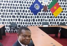 Universités d’état du cameroun : il est temps de choisir la refondation