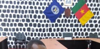 Universités d’état du cameroun : il est temps de choisir la refondation