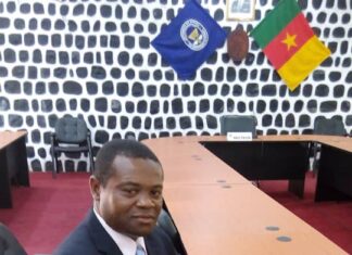 Universités d’état du cameroun : il est temps de choisir la refondation