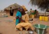 Incurie publique et spectre de la faim : 4,5 millions de Camerounais abandonnés à l’insécurité alimentaire
