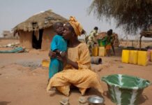 Incurie publique et spectre de la faim : 4,5 millions de Camerounais abandonnés à l’insécurité alimentaire