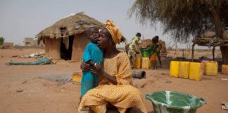 Incurie publique et spectre de la faim : 4,5 millions de Camerounais abandonnés à l’insécurité alimentaire