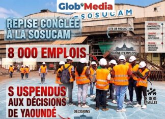 Reprise congelée à la Sosucam : 8 000 emplois suspendus aux décisions de Yaoundé