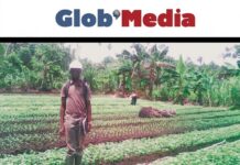 Alerte sur l’agriculture : pourquoi le PIB camerounais piétine à 3,5 % en 2025